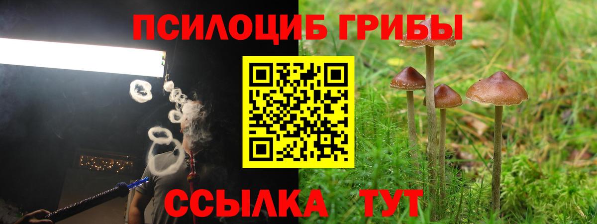 Псилоцибиновые грибы ЛСД  Псилоцибиновые грибы мухоморы  Вход с VPN  Слободской 