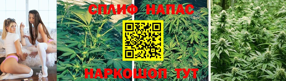 Конопля индика Слободской